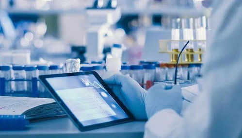 闵行再添重磅总部园区，总投资超150亿元助力企业总部管理升级